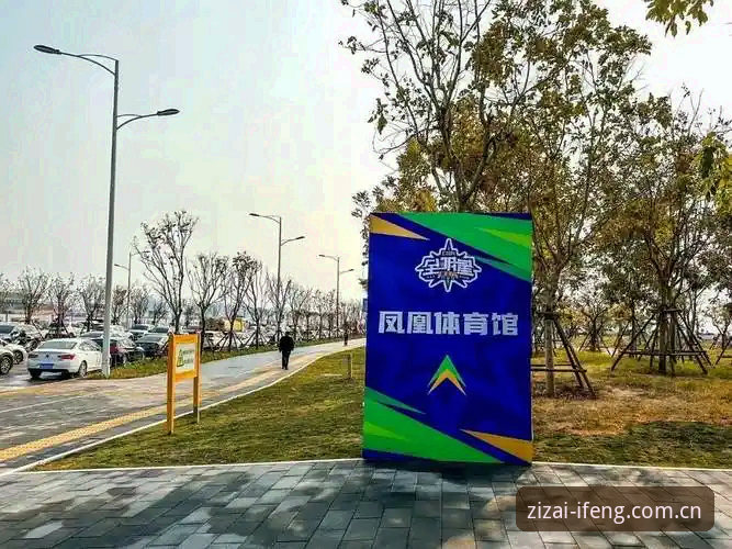 凤凰体育CN app 下载链接评测 凤凰体育CN APP下载链接使用教程:从数据小白到运动分析内行